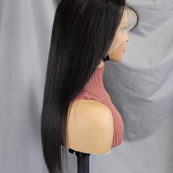 13x4 Wig ST 20 04