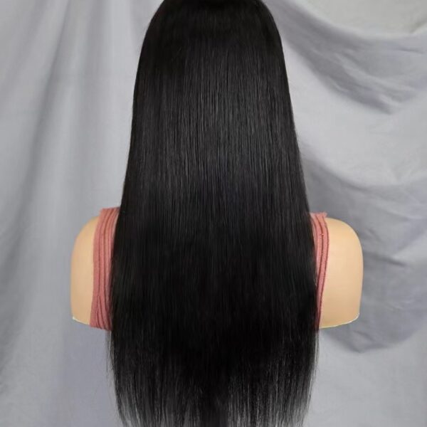 13x4 Wig ST 20 05